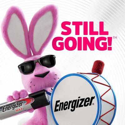 Energizer MAX AAA Alkaline Batteries, 48 Pk.