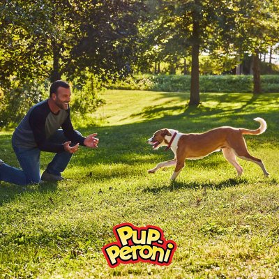 Pup-Peroni Dog Snacks, Original Beef Flavor, 46 Oz.