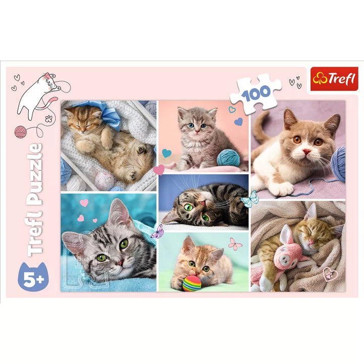 Trefl in the Cat World Kids Jigsaw Puzzle - 100Pc: Animal Theme, Gender Neutral, Age 5+, Educational, Polish Made