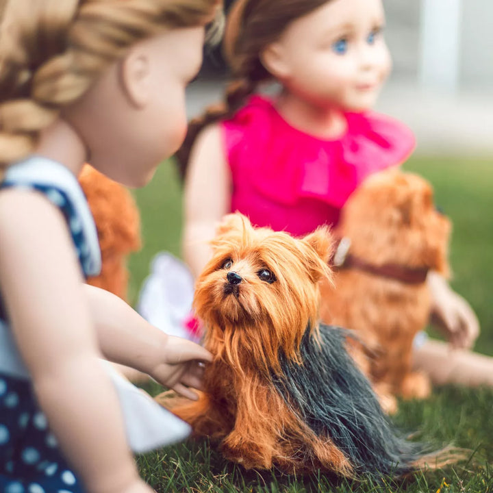 The Queen'S Treasures Teacup Yorkie Puppy, Collar, & Leash for 18" Dolls