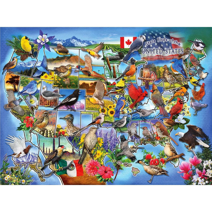 Sunsout State Birds of the U.S. 1000 Pc Jigsaw Puzzle 58649