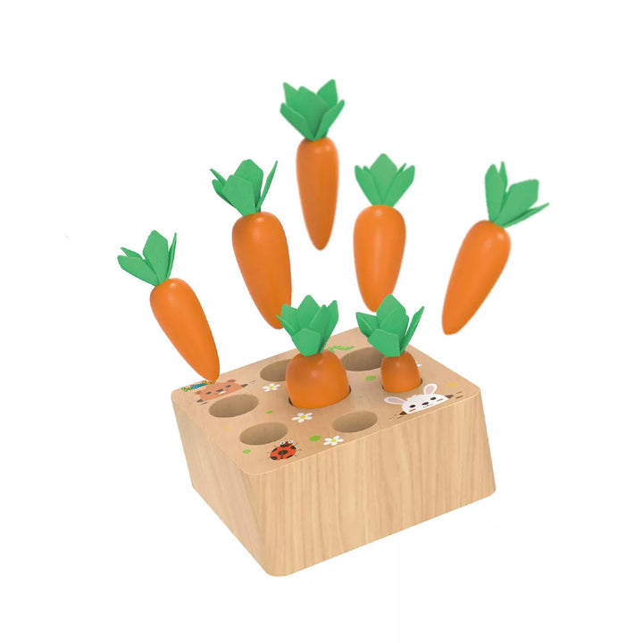 Fun Little Toys Carrots Sorting Game