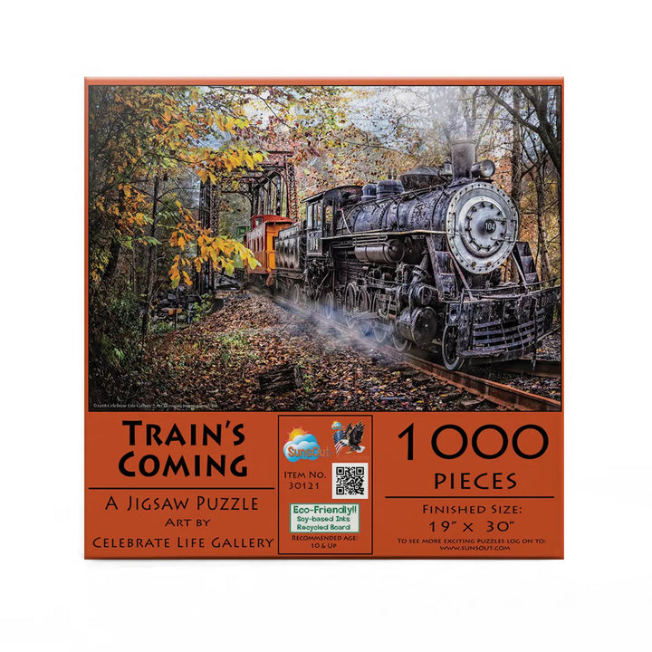 Sunsout Train'S Coming 1000 Pc Jigsaw Puzzle 30121