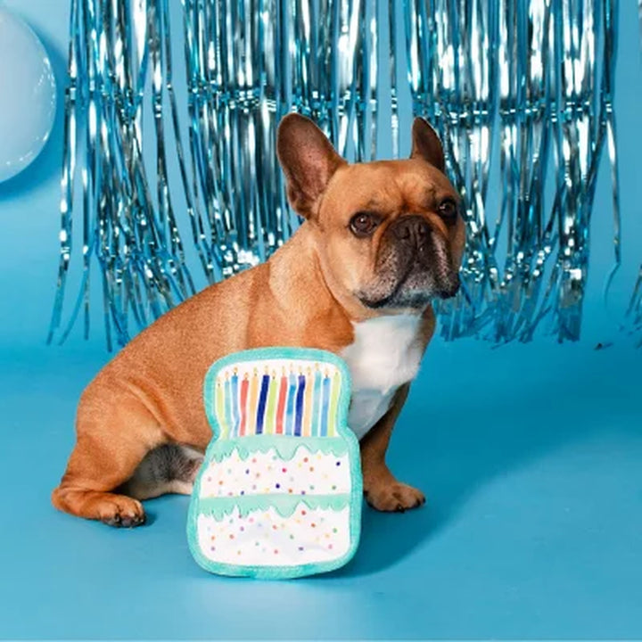 Party Animal Birthday Box Dog Toy Bundle, 5-Piece Set Blue