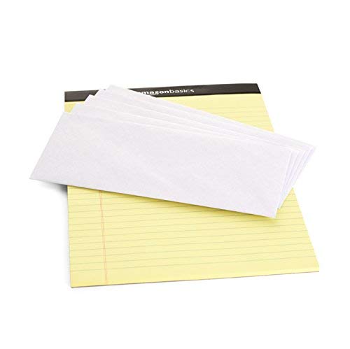 Basics #10 Security Tinted Business Gummed Envelopes, Moisture Sealed, 4-1/8 x 9-1/2 Inch, Pack of 500, One Size, White