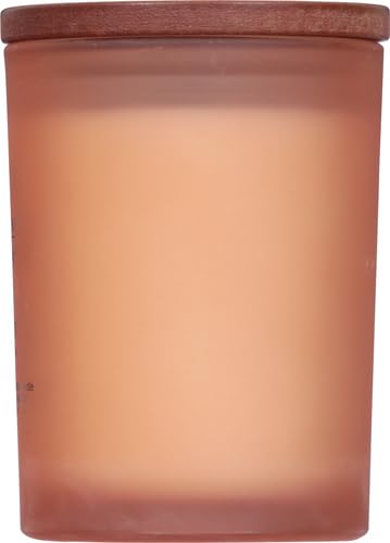 Chesapeake Bay Candle PT31905 Scented Candle, Love + Passion (Grapefruit Mango), Medium, Home Décor LOVE/PASSION Medium Jar