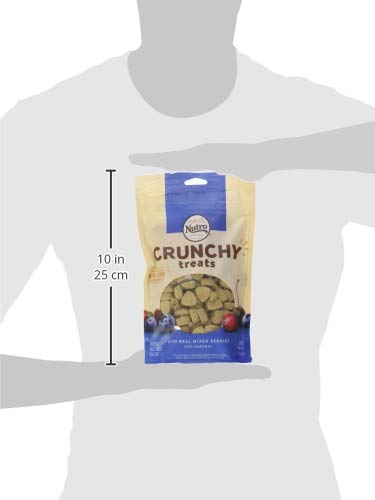 NUTRO Crunchy Dog Treats with Real Mixed Berries, 10 oz. Bag 10 Ounce (Pack of 1)