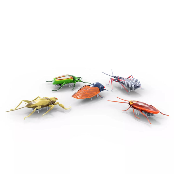 HEXBUG Real Bugs 5Pk