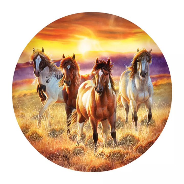 Sunsout Running in the Sun 500 Pc round Jigsaw Puzzle 70997