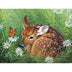 Sunsout Natural Tranquility 300 Pc Jigsaw Puzzle 69642