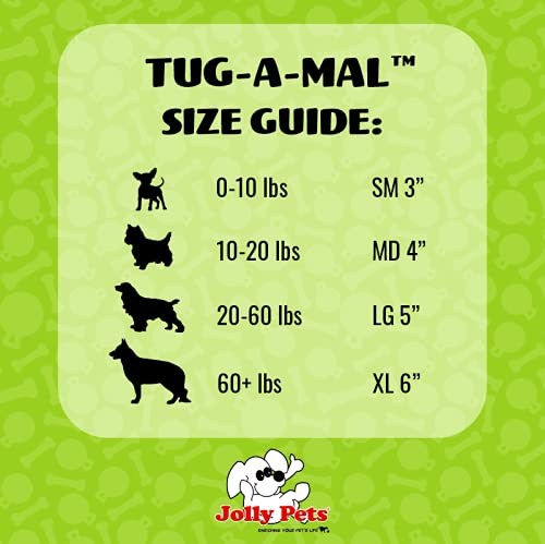 Jolly Pets Jolly Tug-a-Mal Turtle Tug/Squeak Toy, Large