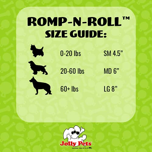 Jolly Pets Romp-n-Roll Rope and Ball Dog Toy, 6 Inches/Medium, Blue