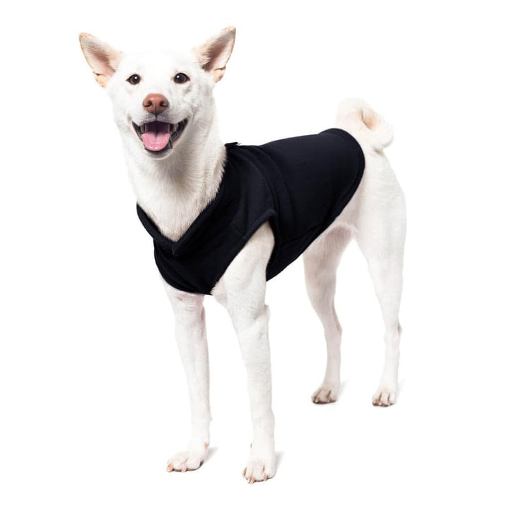 Gooby Fleece Vest Dog Sweater - Black, Large - Warm Pullover Fleece Dog Jacket with O-Ring Leash - Winter Small Dog Sweater Coat - Cold Weather Dog Clothes for Small Dogs Boy or Girl Large (Around 18-lb)