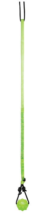 Jolly Pets Tree Tugger For Dog, Green