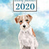 2020 Weekly Planner: Jack Russell Terrier Dogs - Weekly and Monthly Calendar, Diary and Habit Tracker