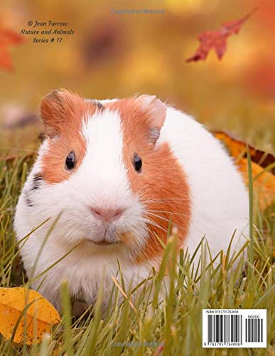 2020 Weekly & Monthly Planner: Guinea Pig Large Organizer Diary with Goal Setting and Gratitude Sections, Fall (Nature and Animals)