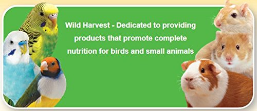 Wild Harvest Advanced Nutrition Diet For Ferrets, 3-Pound 3 Pound (Pack of 1)