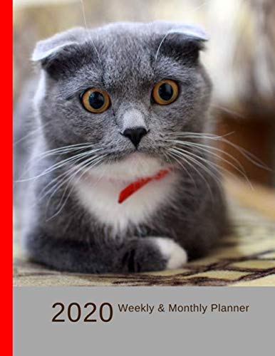 2020 Weekly & Monthly Planner: I Love Scottish Fold Cats Large Organizer Diary with Goal Setting and Gratitude Sections (Positive Life Planner)