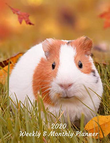 2020 Weekly & Monthly Planner: Guinea Pig Large Organizer Diary with Goal Setting and Gratitude Sections, Fall (Nature and Animals)