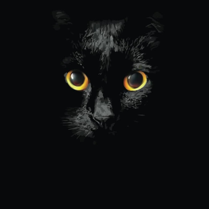 2021 - 2022 18-Month Planner: Black Cat in the Shadows Daily Planner, July 2021–December 2022 (Daily, Weekly and Monthly Calendar Planners)