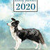 2020 Weekly Planner: Border Collie Dogs - Weekly and Monthly Calendar, Diary and Habit Tracker