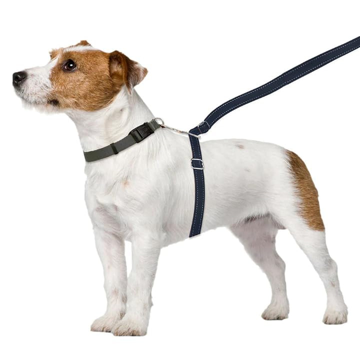 No-Pull Dog Leash (Large (Over 25 lbs), Black) Large (Over 25 lbs)
