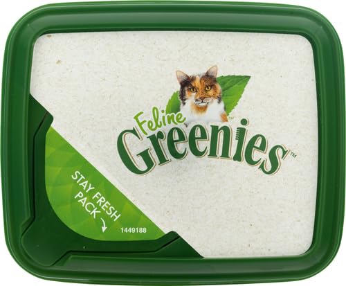 Greenies Feline Adult Natural Dental Care Cat Treats, Savory Salmon Flavor, 9.75 oz. Tub 9.75 Ounce (Pack of 1)