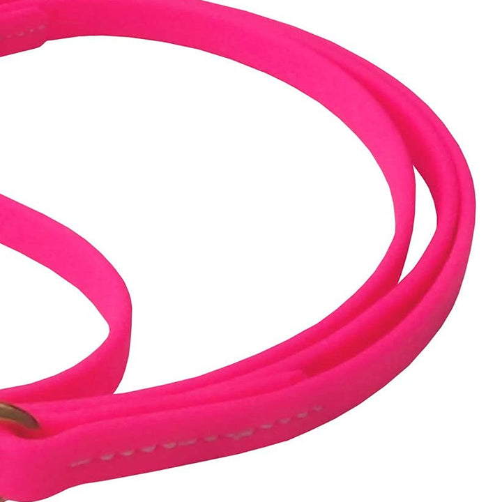 J&J Dog Supplies Biothane Dog Leash, 1/2" Wide by 6' Long, Pink
