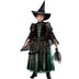 Wizard of Oz Wicked Witch Kids Premium Costume