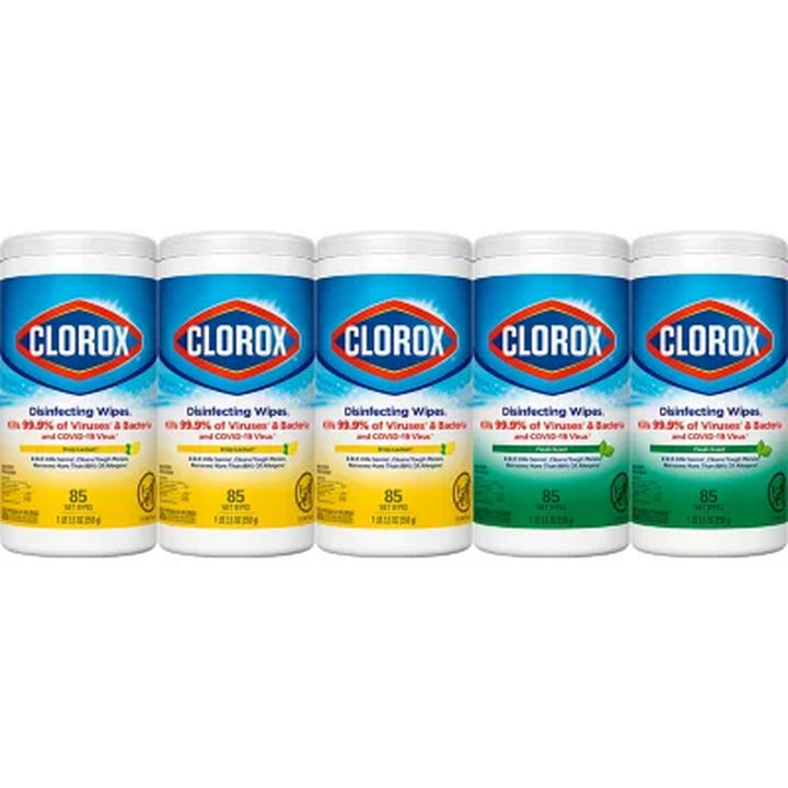 Clorox Disinfecting Bleach-Free Cleaning Wipes, Variety Pack 85 Wipes/Pk., 5 Pk.
