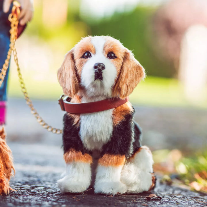 The Queen'S Treasures 18 in Doll Beagle Puppy Dog with Leash and Collar