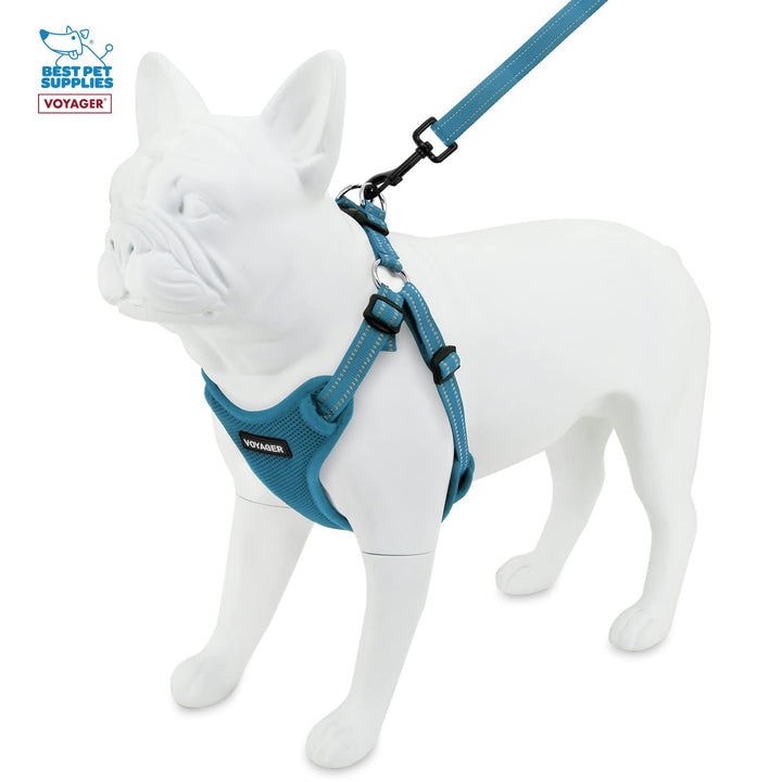Best Pet Supplies Voyager Adjustable Dog Harness Leash Set with Reflective Stripes for Walking Heavy-Duty Full Body No Pull Vest with Leash D-Ring, Breathable All-Weather - Harness (Turquoise), L Harness Leash Set (Turquoise) L (Chest: 20 - 25")