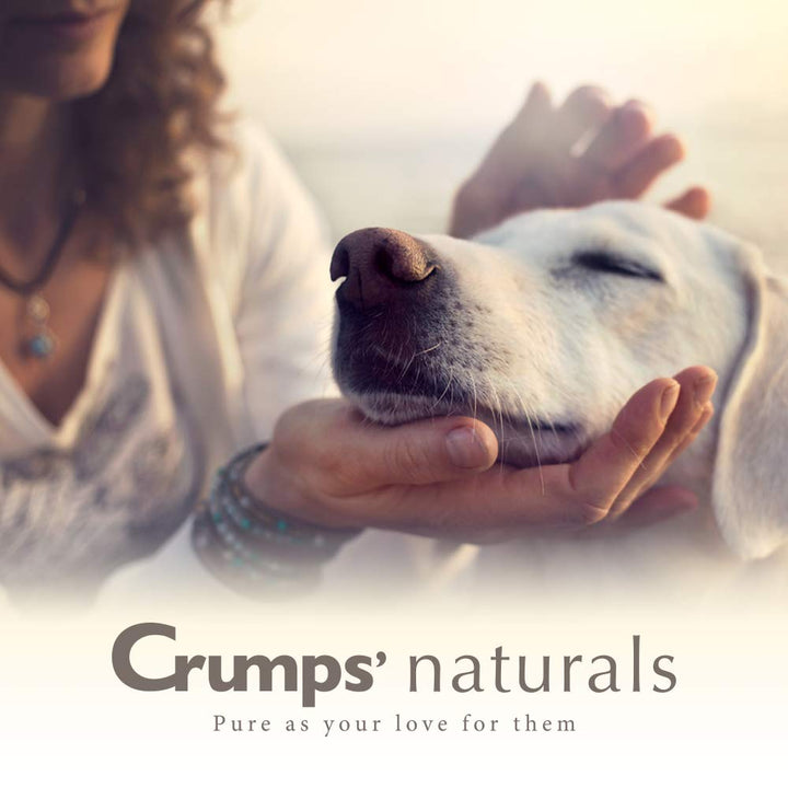 Crumps' Naturals Semi Moist Chicken Mini Trainers 8.8oz /250g, Brown (MT-C-250)