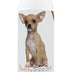 Healthy Breeds Chihuahua Smelly Dog Baking Soda Shampoo 8 oz