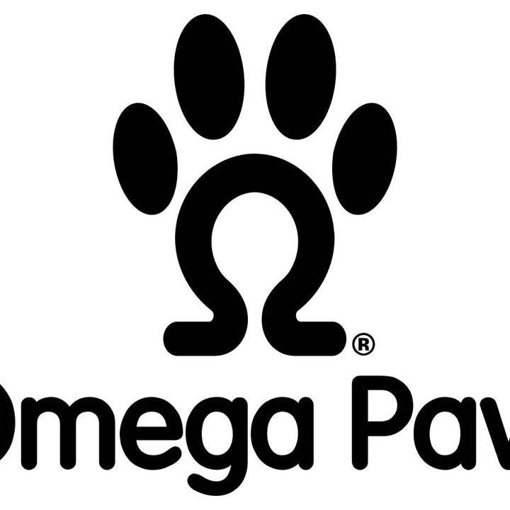 Omega Paw Authentic Tricky Treat Ball - Medium,Orange