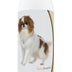 Healthy Breeds Japanese Chin Oatmeal Shampoo with Aloe 16 oz
