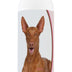 Healthy Breeds Pharaoh Hound Deodorizing Shampoo 16 oz