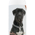 Healthy Breeds Cane Corso Smelly Dog Baking Soda Shampoo 8 oz 8 Fl Oz