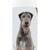 Healthy Breeds Irish Wolfhound Smelly Dog Baking Soda Shampoo 8 oz