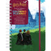 2025 Harry Potter Magical Moments 18-Month Coloring Planner, Spiral Bound