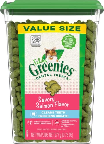 Greenies Feline Adult Natural Dental Care Cat Treats, Savory Salmon Flavor, 9.75 oz. Tub 9.75 Ounce (Pack of 1)