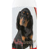 Healthy Breeds Black and Tan Coonhound Tearless Puppy Dog Shampoo 16 oz