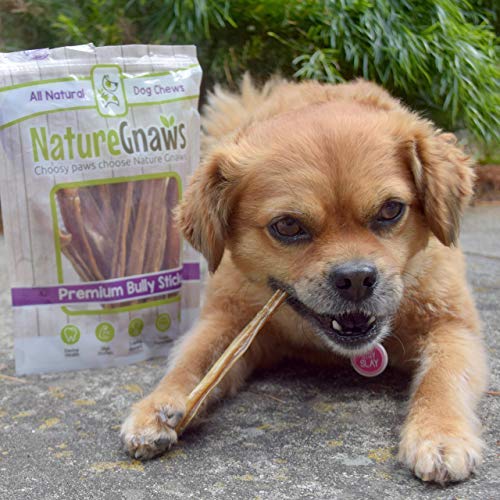 Nature Gnaws Super Skinny Bully Sticks for Small Dogs - Premium Natural Beef Dental Bones - Tasty Thin Dog Chew Treats for Toy Breeds & Puppies - Rawhide Free 15 Count (Pack of 1)