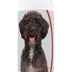 Healthy Breeds Schnoodle Deodorizing Shampoo 16 oz