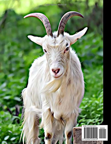 2020 Planner - Goat - Daily and Monthly Planner: The Perfect Gift - 2020 Planner for Goat Lovers - Men, Women, Teens and Kids Love these Diaries