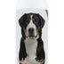 Healthy Breeds Greater Swiss Mountain Dog Smelly Dog Baking Soda Shampoo 8 oz