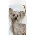 Healthy Breeds Chinese Crested Oatmeal Shampoo with Aloe 16 oz