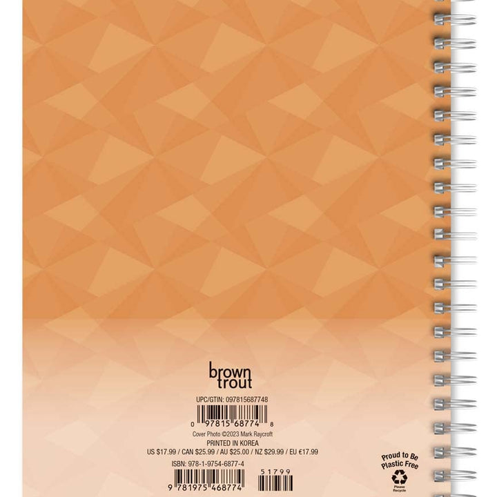 2024 BrownTrout Bulldogs 6-inch x 7.75-inch Weekly & Monthly Engagement Planner, Multicolor (9781975468774)