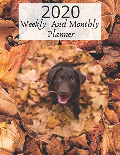 2020 Weekly And Monthly Planner: Labrador Calendar Notebook Organizer For Chocolate Lab Lovers