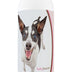 Healthy Breeds Rat Terrier Deodorizing Shampoo 16 oz